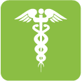 Medical Insurance